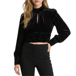 NWT Zara Black Velvet Gold Metallic Square Dots Long Puff Button Sleeve Crop Top